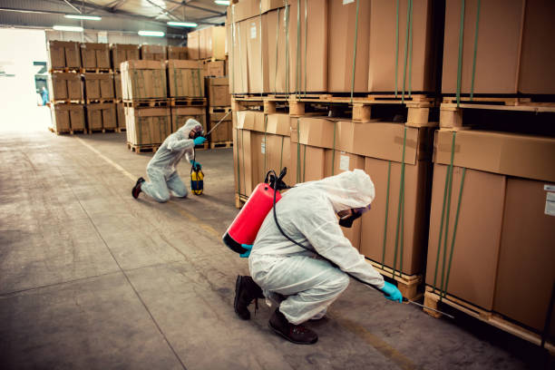 Best Pest Removal Services  in Saratoga, CA