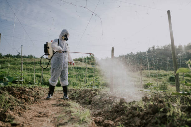 Best Local Pest Control Services  in Saratoga, CA