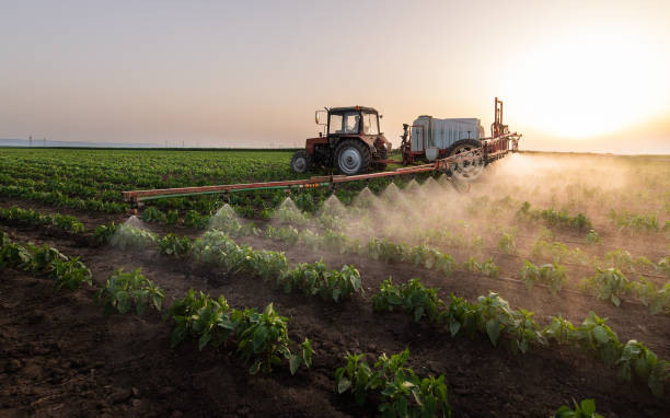 Best Pest Removal Services  in Saratoga, CA