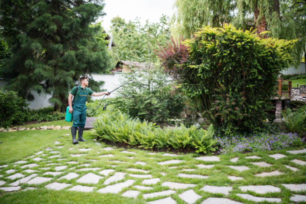 Best Pest Prevention Services  in Saratoga, CA