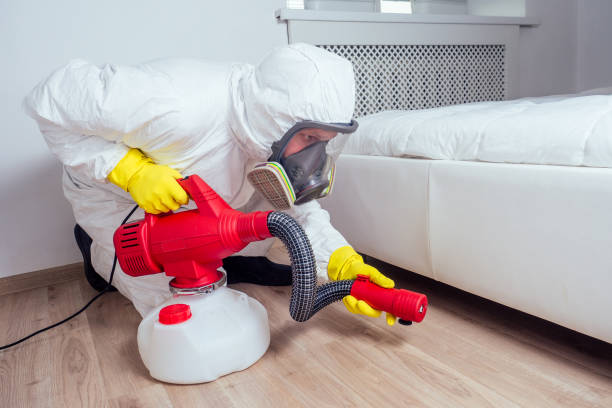 Best Best Pest Control Companies  in Saratoga, CA