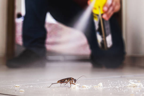 Pest Control Cost in Saratoga, CA